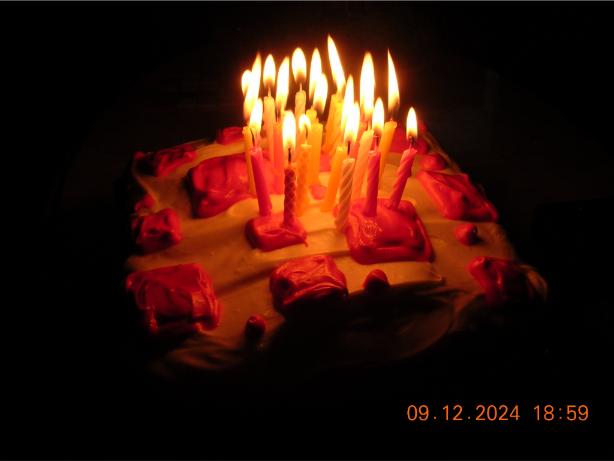 A photo of a real Minecraft cake in total darkness, illuminated by 22 candles.